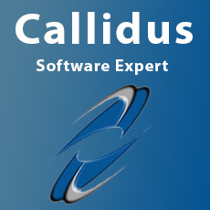 Callidus Software Expert